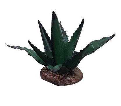 Small Agave