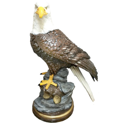 Perched Eagle on Rock