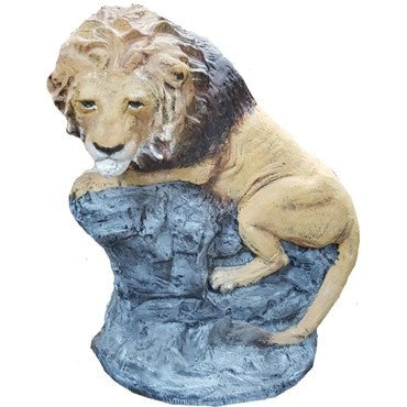 Small Sitting Lion on Rock