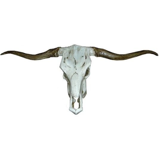 Cast aluminum longhorn skull wall decor with weathered white finish and rustic horns