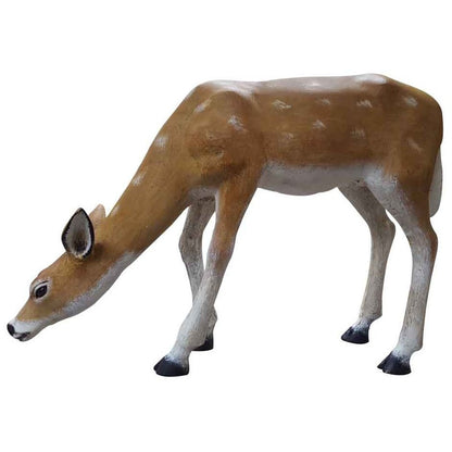 Smooth Grazing Fawn