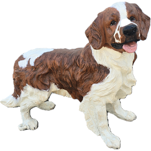Spaniel