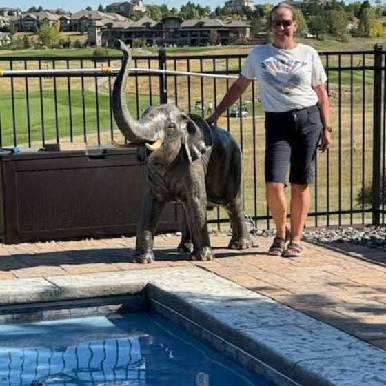 Cast aluminum 4.5 foot baby elephant next to a swimming pool