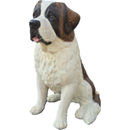 Saint Bernard Puppy