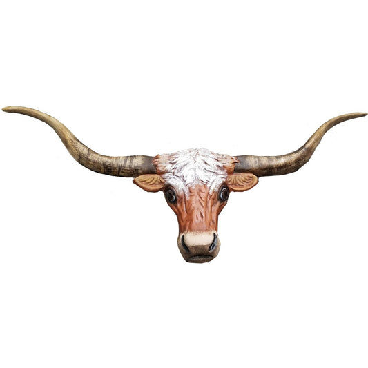 Steer Head