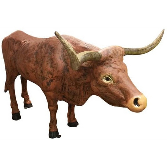 Texas Long Horn