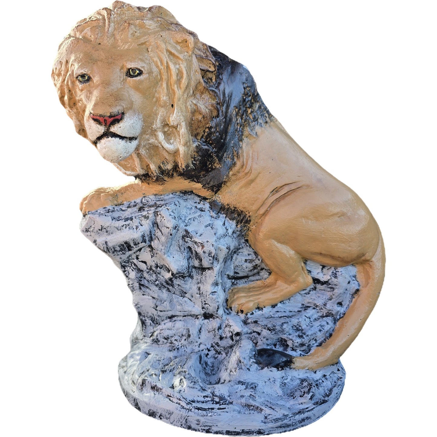 Small Sitting Lion on Rock