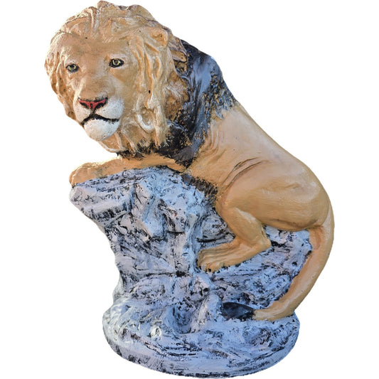Small Sitting Lion on Rock