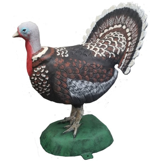 Turkey with No Side Feathers