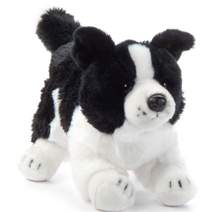 Border Collie 12"