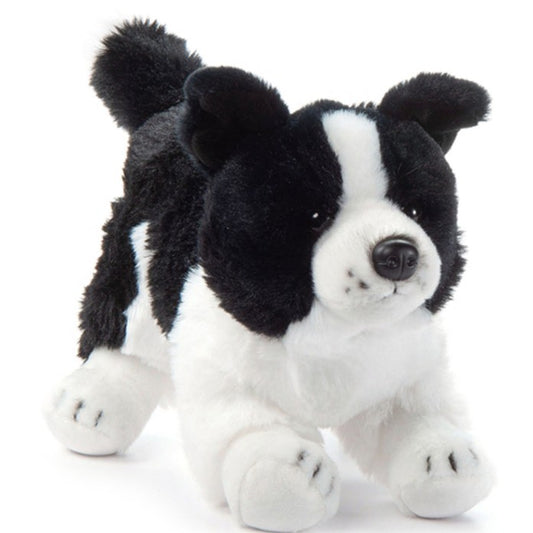 Border Collie 12"