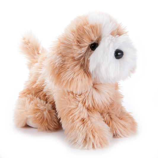 Cavapoo 11"