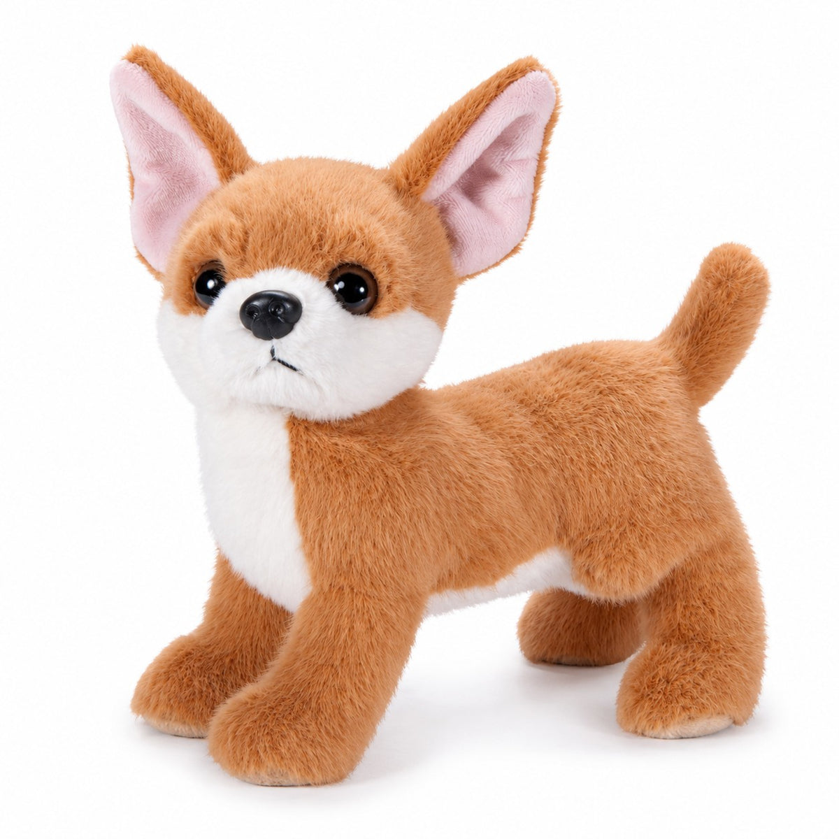 Chihuahua 8"