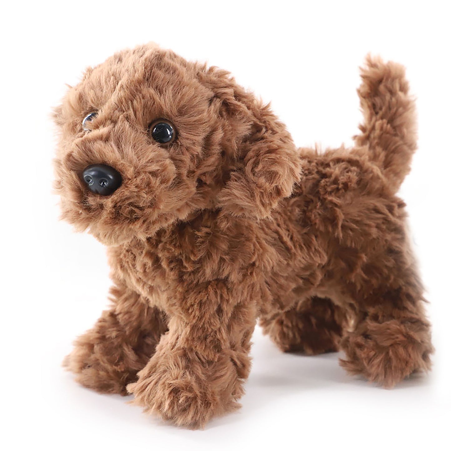 Chocolate Labradoodle 11"