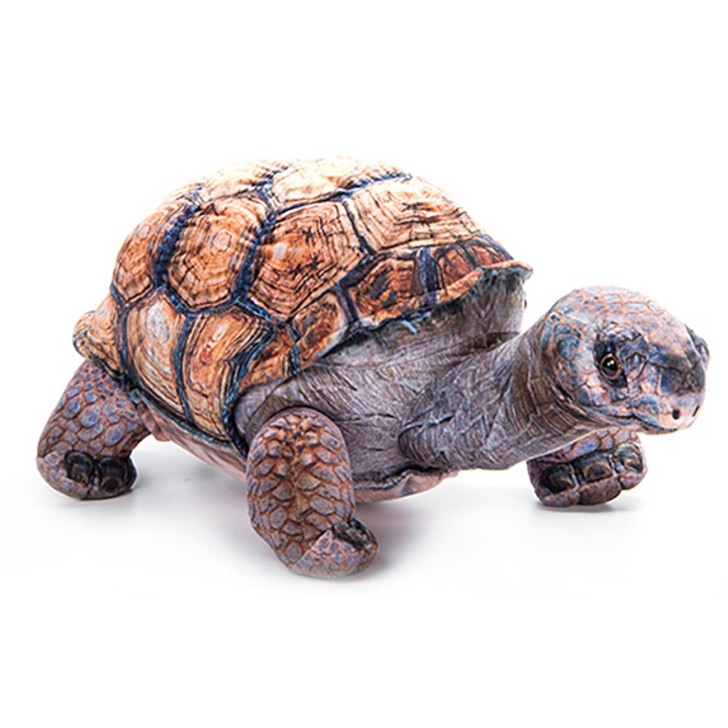 Galapagos Tortoise 14"