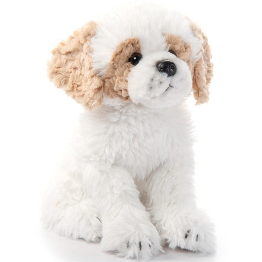 Havanese/Bichon Frise 12"