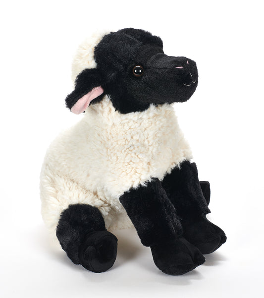 Lamb 12"