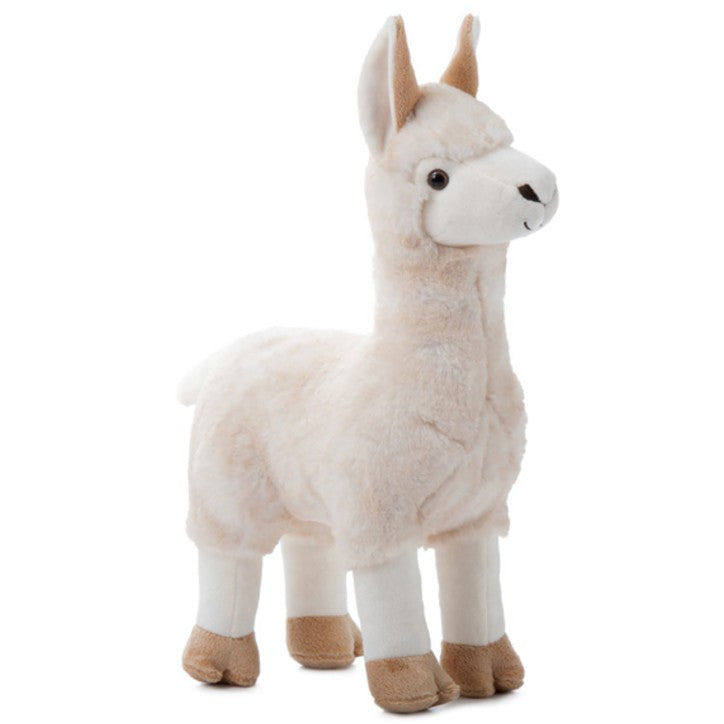 Llama 12"