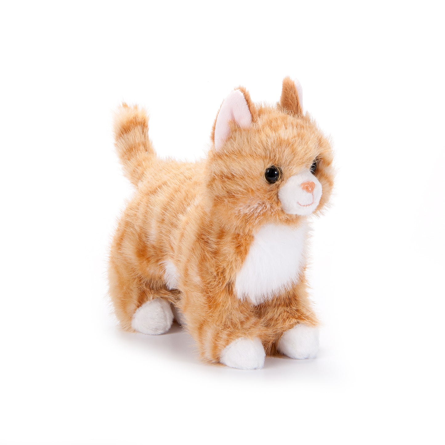 Orange Tabby 10"