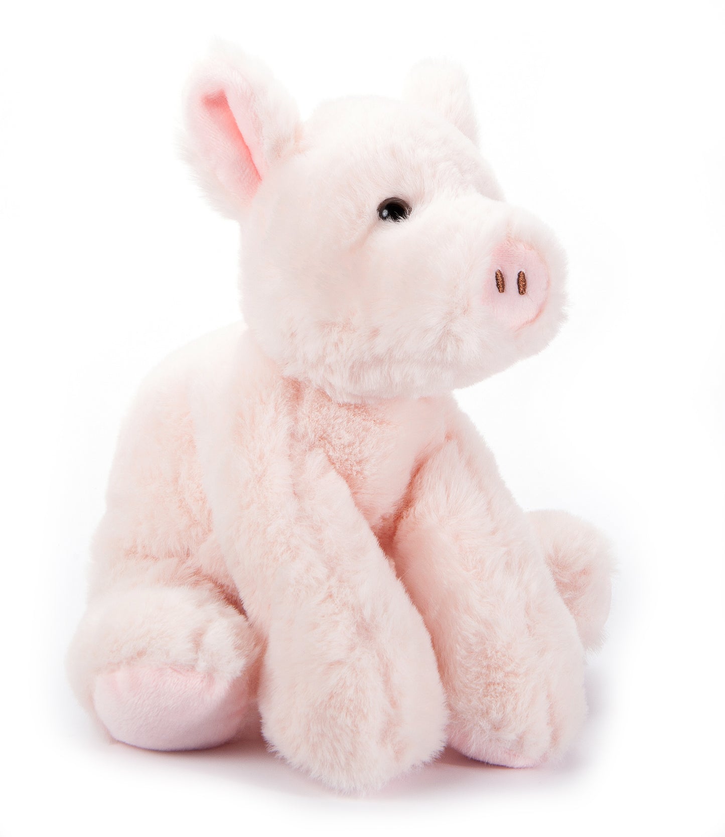 Pig 8"