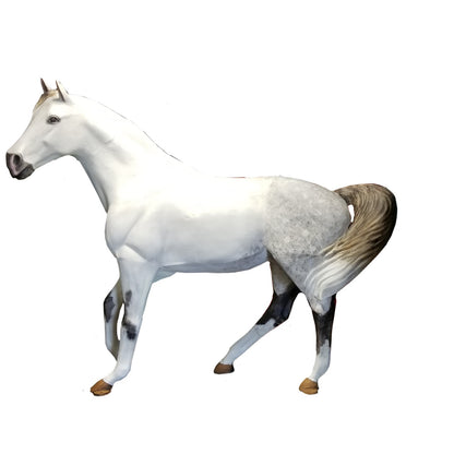 Wild Mustang