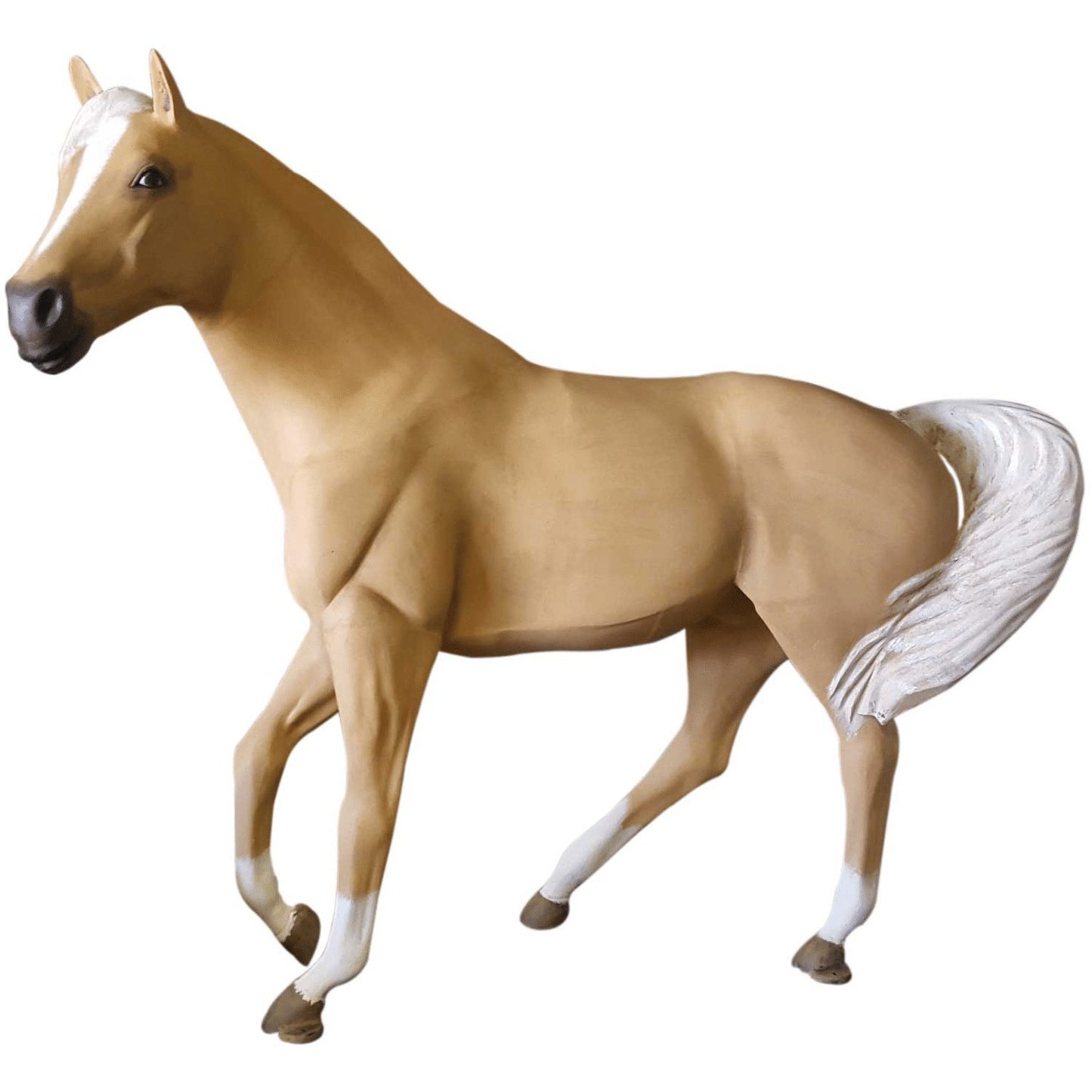 Wild Mustang