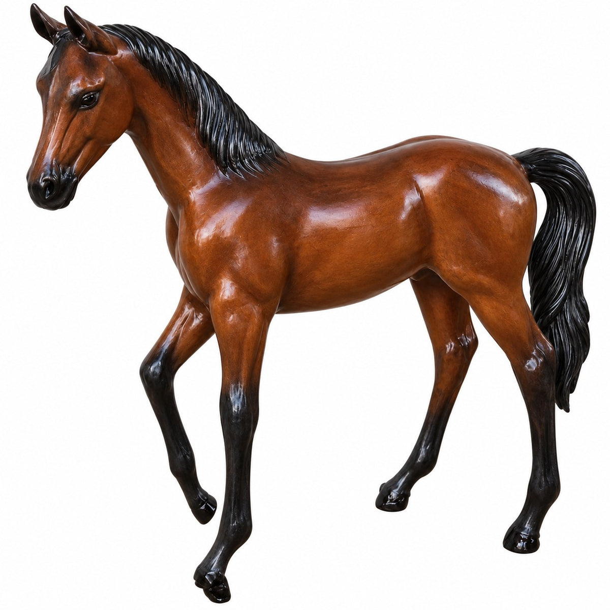 Arabian Colt