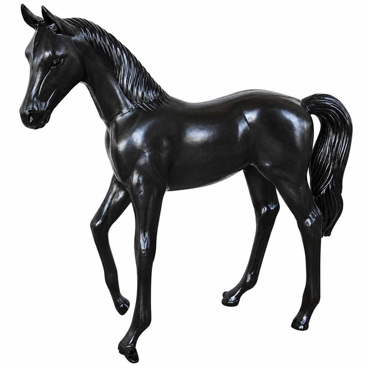 Arabian Colt