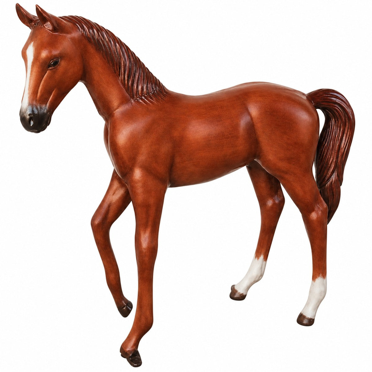Arabian Colt