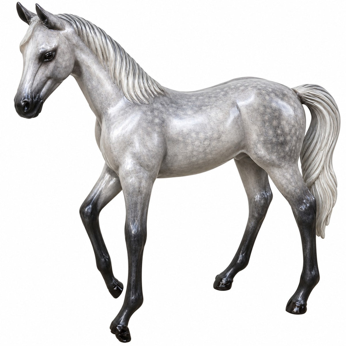Arabian Colt