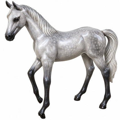 Arabian Colt
