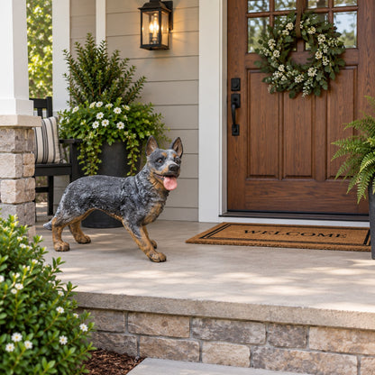 Australian Cattle Dog