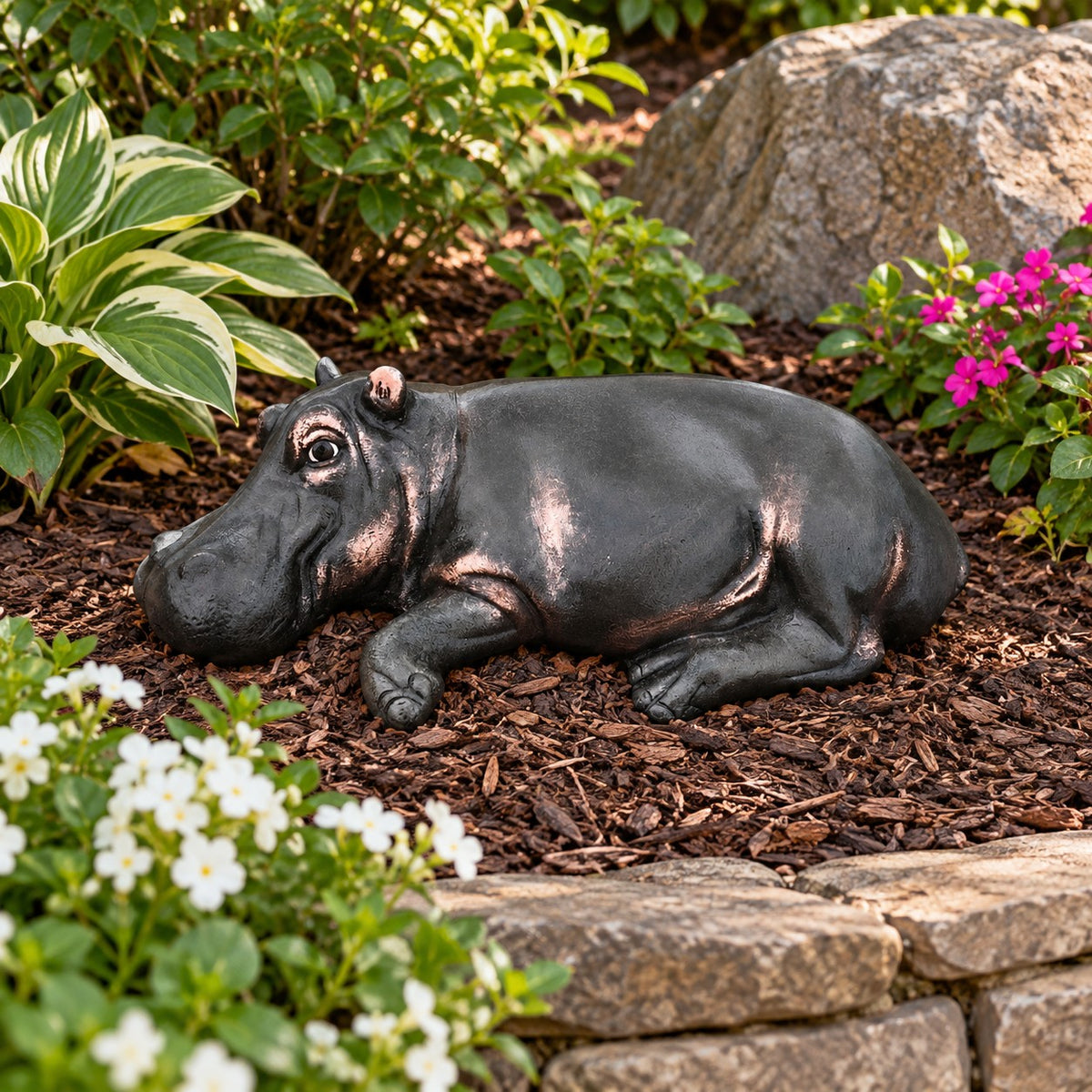 Baby Hippo Laying Down