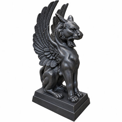 Gato Griffin