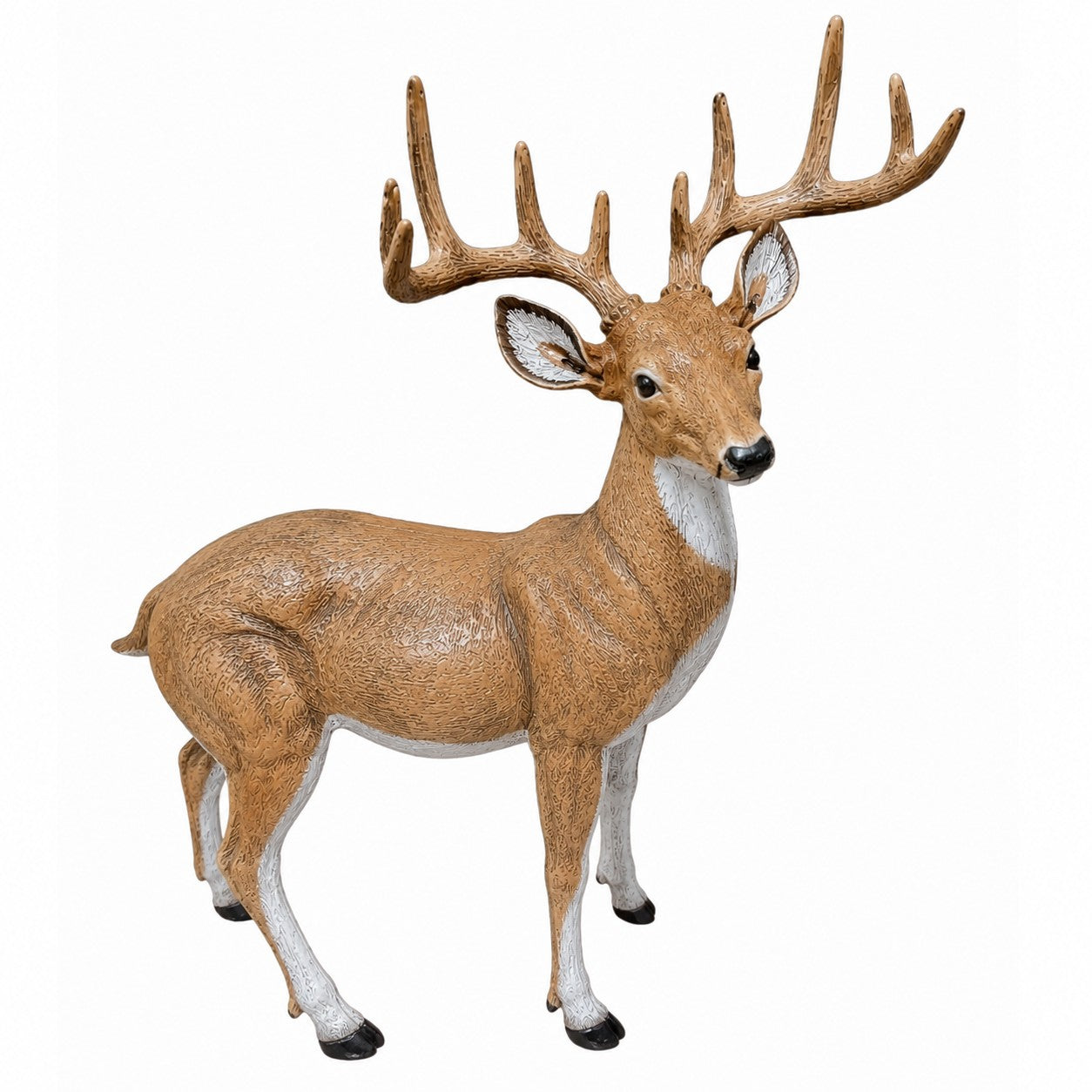 Mini Buck Standing