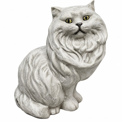 Persian Cat Baby