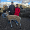 Cast aluminum deer doe with textured body in natural stance for outdoor displays.