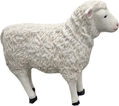 Sheep 23"