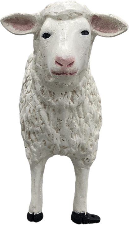 Sheep 23"