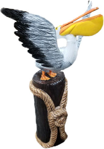 Pelican Flying on Stump with Rope
