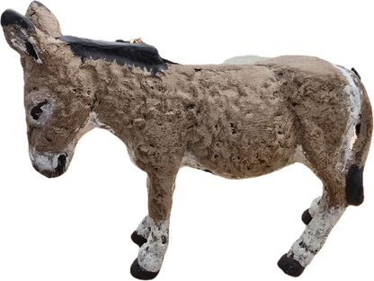 Mini Donkey
