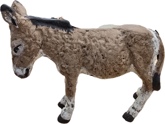 Mini Donkey - Backyard Buddies