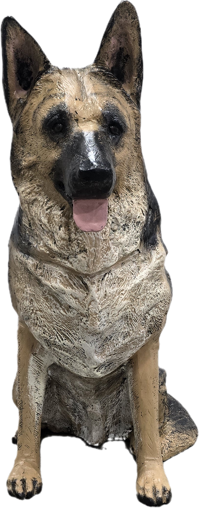 Sitting German Shepherd