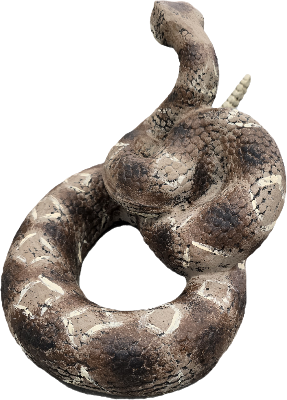 Rattle Snake