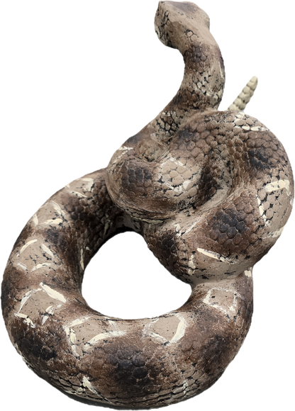 Rattle Snake