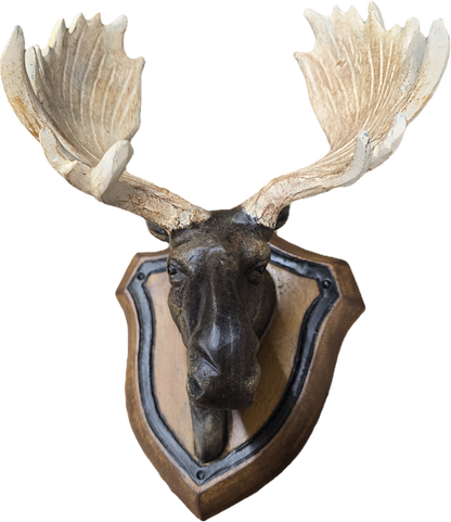 Moose Head Wall Mount
