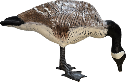 Large Down Headed Goose