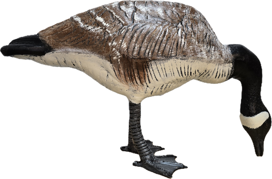 Large Down Headed Goose