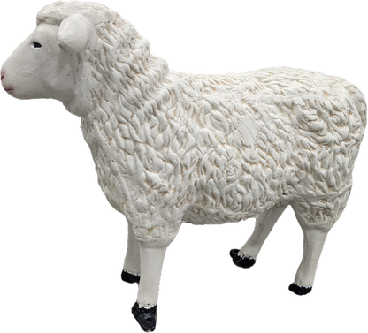 Sheep 23"